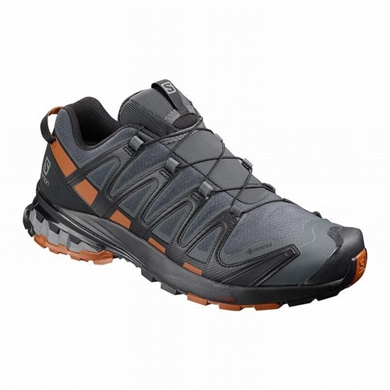 Zapatillas De Trail Running Salomon Xa Pro 3d V8 Gore-tex Hombre Azules Oscuro Negras | JLABNP-735